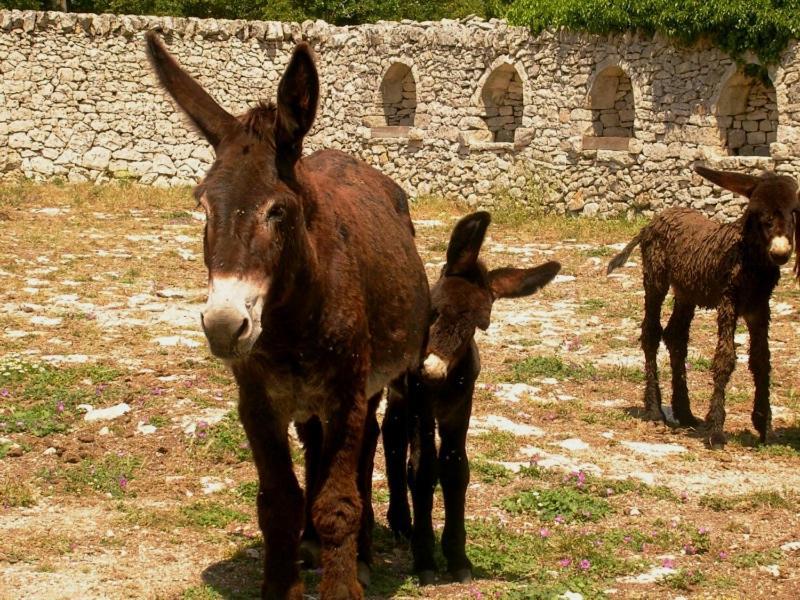 דירות מרטינה פרנקה Casa Lo Re מראה חיצוני תמונה